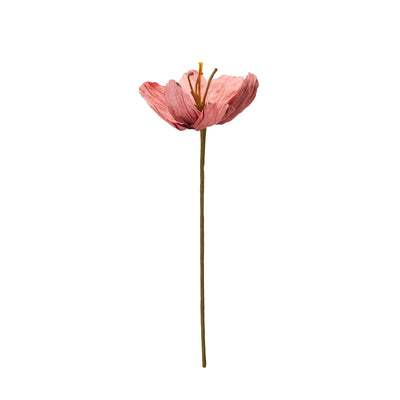 TULIP Flower Pink 16x75cm