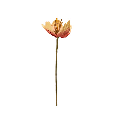 TULIP Flower Orange 16x75cm