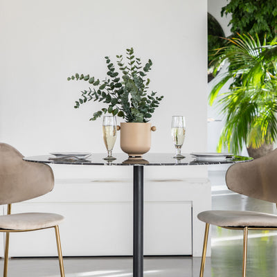 Eucalyptus in soil Grey Green