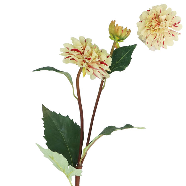 Green/Pink Striped Dahlia Flower 53cm