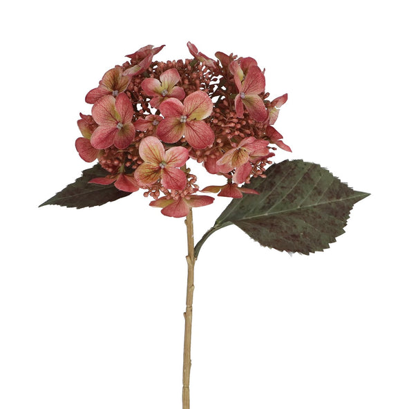 Dusky Pink Lacecap Hydrangea Flower 52cm