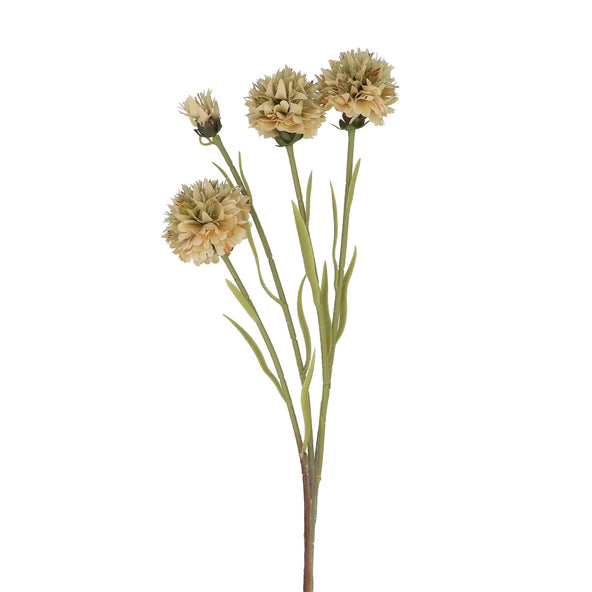 Antique Cream Echinops Flower 59cm