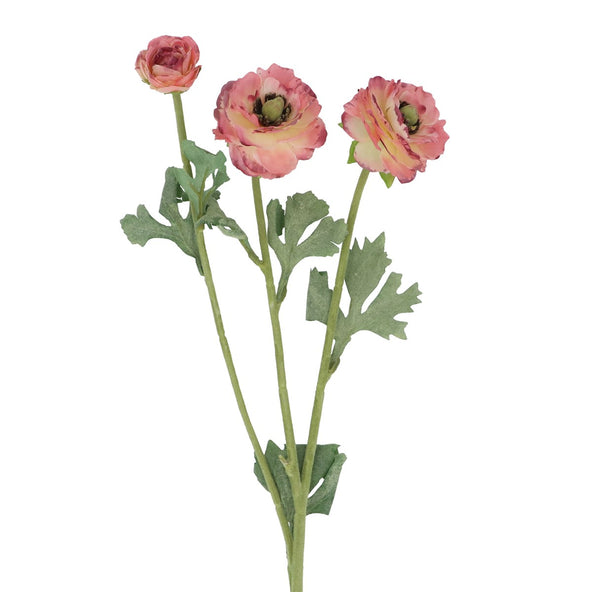 Pink Ranunculus Picotee Flower 48cm