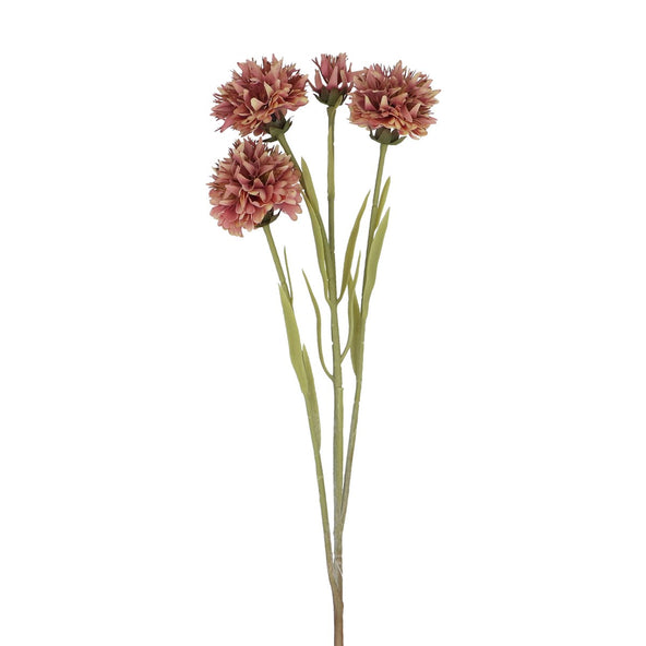 Antique Pink Echinops Flower 59cm