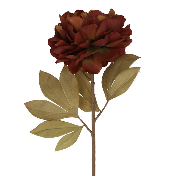 Antique Chestnut Single Peony Flower 80cm