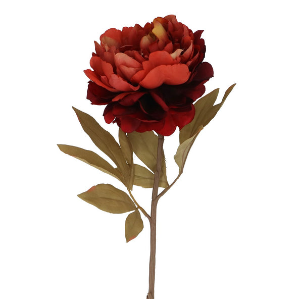 Antique Red Single Peony Flower 80cm