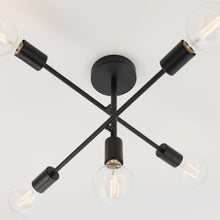 Stanford Ceiling Light Black