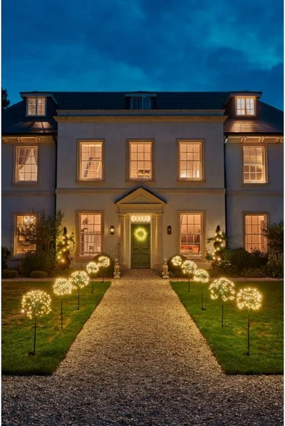 Dandelion 35cm Solar Light Green