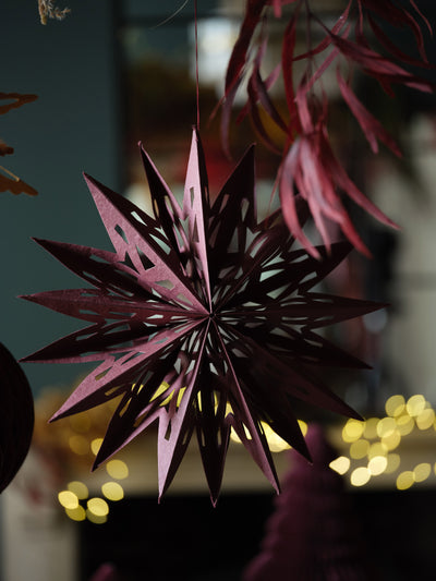 Cutout Christmas Star Berry