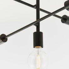 Stanford Ceiling Light Black