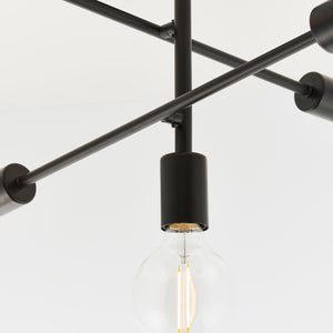 Stanford Ceiling Light Black