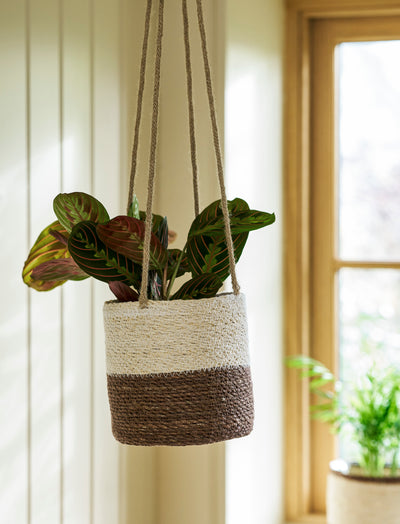 Hanging Plant Pot Ecru and Antique Brown