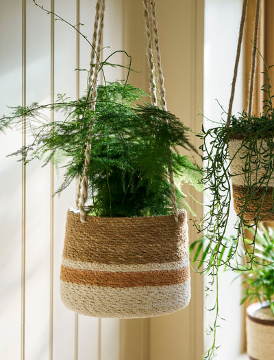 Hanging Plant Pot Terracotta