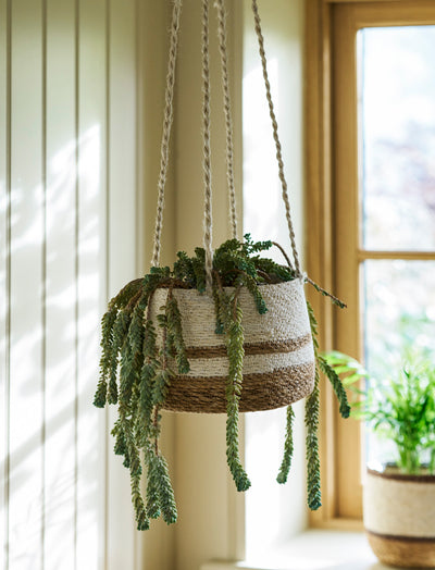 Hanging Plant Pot Ecru & Natural Stripe