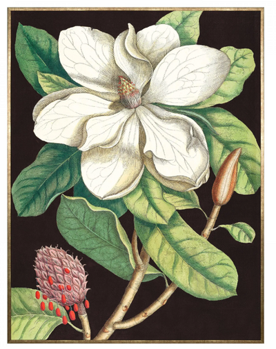 Laurel Tree Framed Canvas