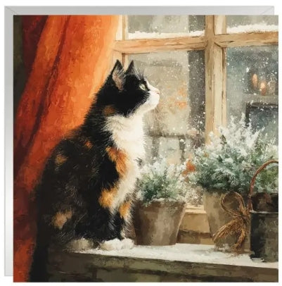 Whiskers in Winter Christmas Cards pack of 6
