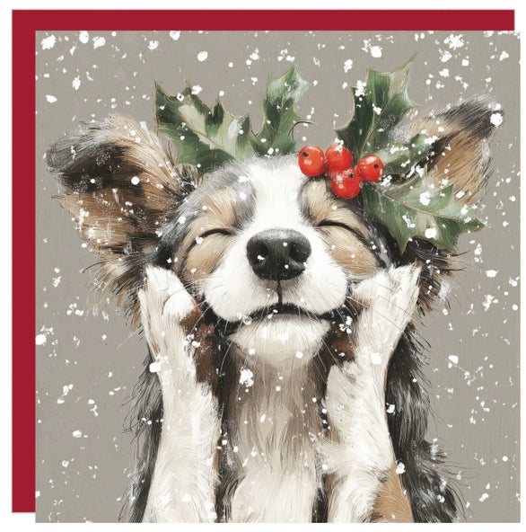 Happiness is Christmas Cards pack of 6
