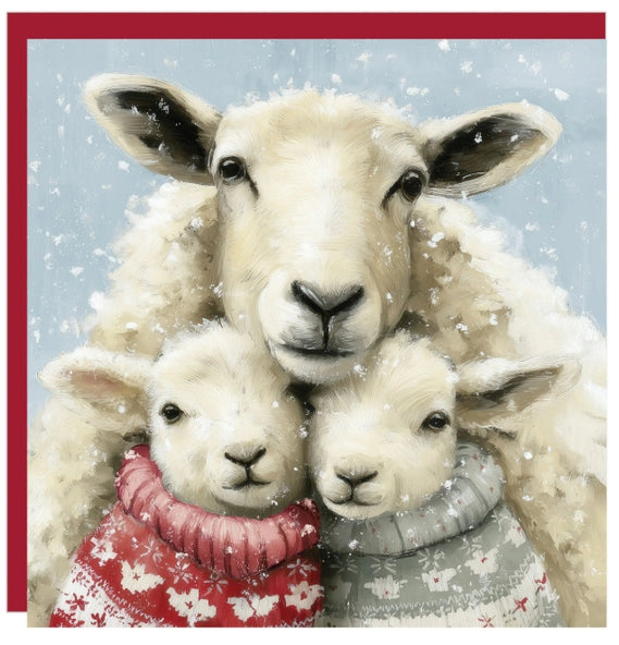 Christmas Cuddles Christmas Cards  pack of 6