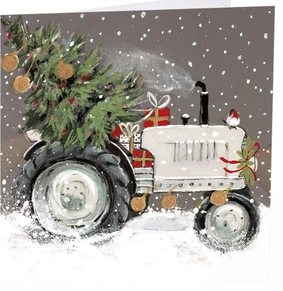 Special Delivery Christmas Cards pack of 6