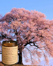 Japan Candle - Birch and Cherry