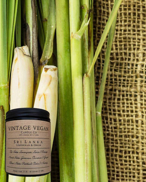 Sri Lanka Candle Lemongrass and Ginger Soy Wax Vegan Candle 180ml