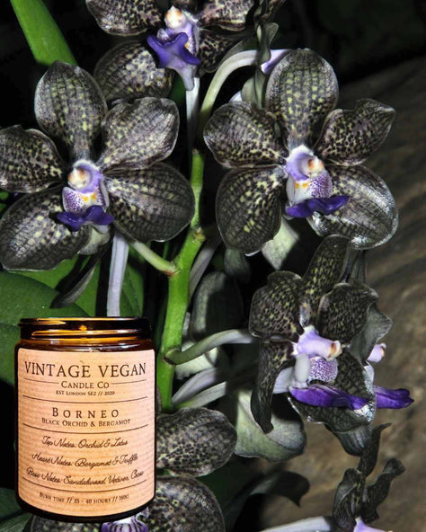 Borneo Candle - Black Orchid and Bergamot Soy Wax Candle 180ml
