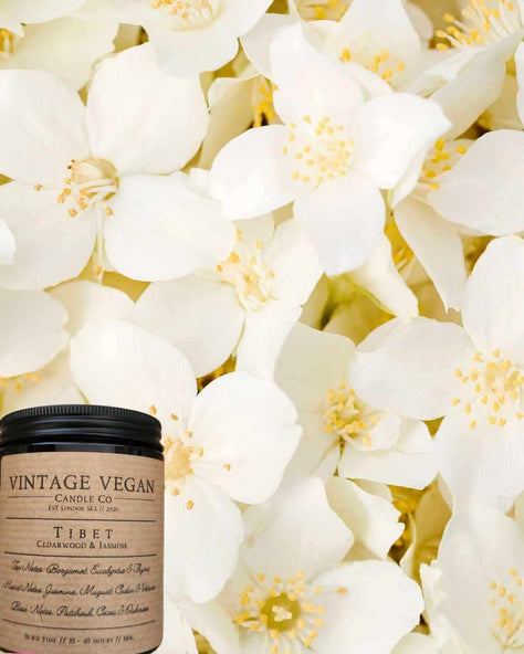 Tibet Cedarwood & Jasmine Soy Wax Candle 180ml
