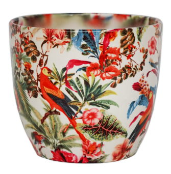 Monza Tropical Parrot H17Cm D17Cm