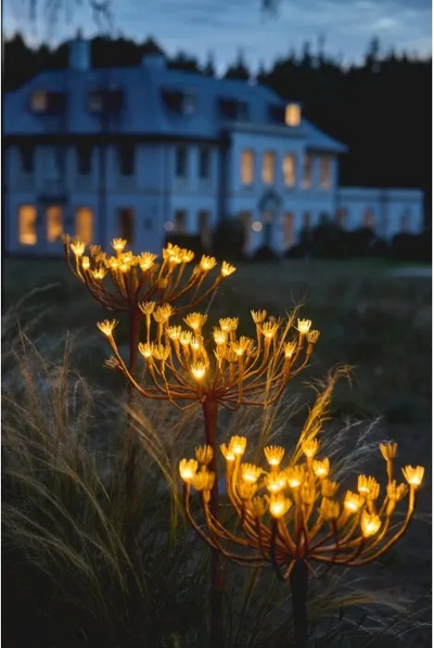 Solar & Battery Wild Fennel Light Brown