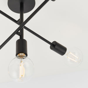 Stanford Ceiling Light Black