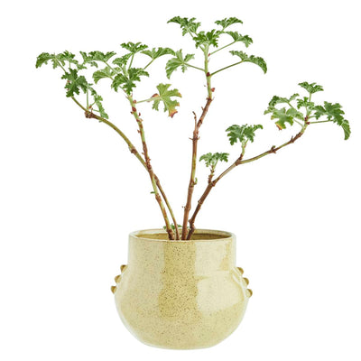 Stoneware Planter Mustard Small
