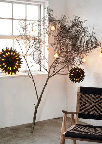 Veneer Paper Star with Lights