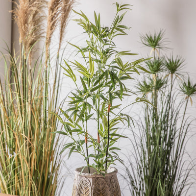 Bamboo Tree Small