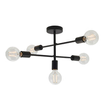 Stanford Ceiling Light Black